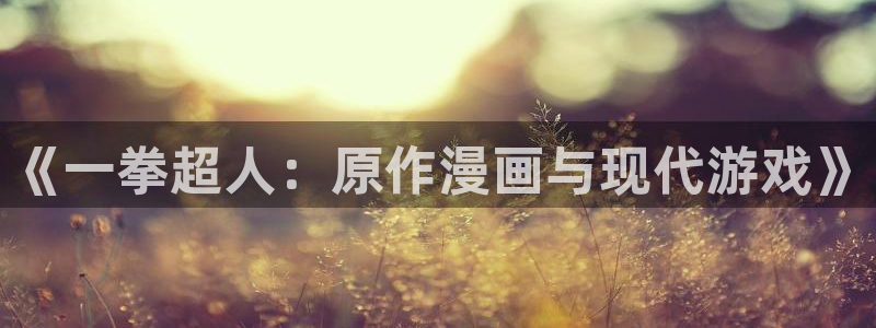 海贼王yy漫画：《一拳超人：原作漫画与现代游戏》