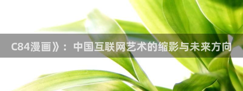 yy漫画破解：C84漫画》：中国互联网艺术的缩影与未来方向