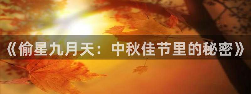 yy漫画阅读：《偷星九月天：中秋佳节里的秘密》