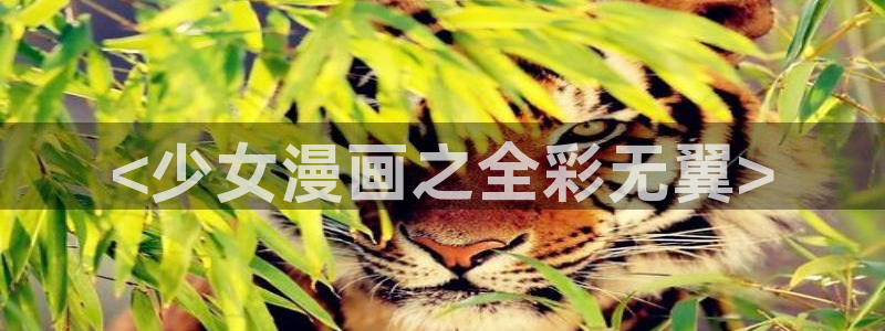 yy漫画在线版免费阅读：<少女漫画之全彩无翼>