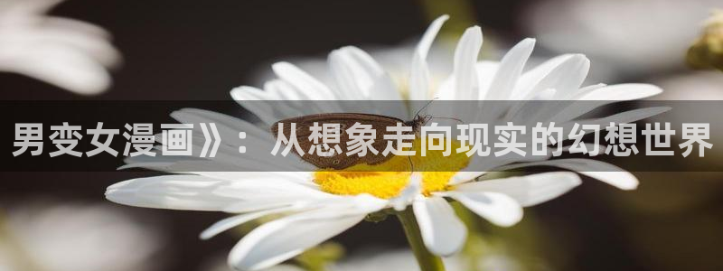 luruyy漫画：男变女漫画》：从想象走向现实的幻想世界