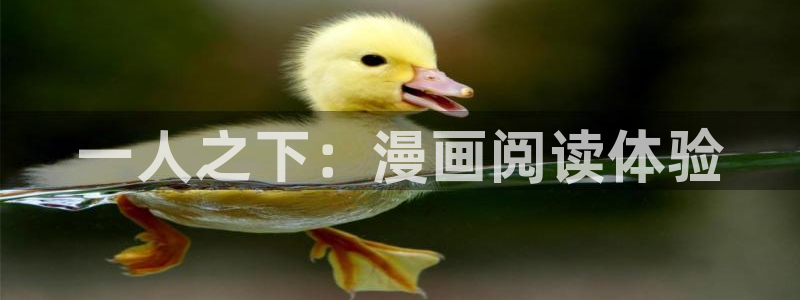 yy漫画漫画首页漫画：一人之下：漫画阅读体验